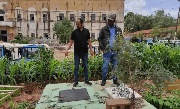 Two men standing on a platform in front of some trees.